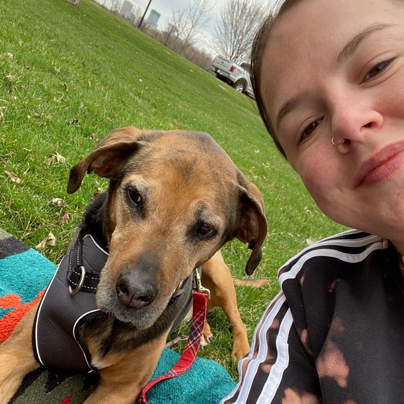 Meet your Posher, Brianna - Picture 3 of 4